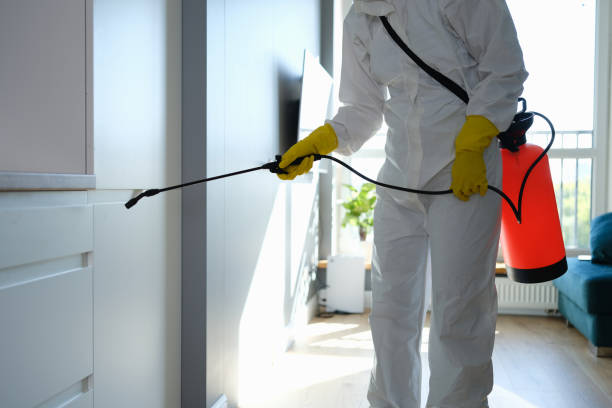 Professional Mold Removal in Damascus, MD