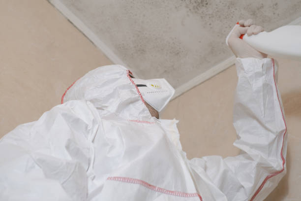 Mold Removal and Inspection in Damascus, MD